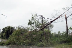 Thủ tướng yêu cầu nâng cao năng lực dự báo thiên tai