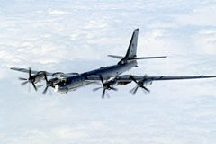 Máy bay chống tàu ngầm Tu-142. (Nguồn: RIA Novosti)