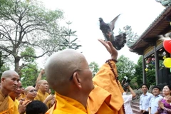 [Photo] Phật giáo Quảng Trị cầu nguyện hòa bình cho Biển Đông