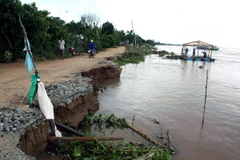 Hà Nội: Hơn 1.000m bờ tả sông Đáy bị sạt lở nghiêm trọng