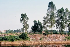 Nước sông Nhuệ đang bị ô nhiễm trên mức báo động cấp 3