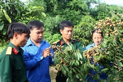 Triển khai đề án đưa 500 trí thức trẻ về nông thôn, miền núi