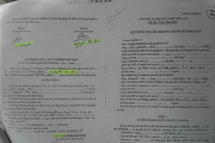 Vụ Việt kiều Mỹ bị giữ hộ chiếu trái phép: Vụ tranh chấp kỳ lạ