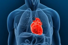 Cộng hòa Séc ghép tim nhân tạo thành công cho trẻ vị thành niên