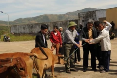 Đầu tư hơn 3.460 tỷ đồng giảm nghèo khu vực Tây Nguyên