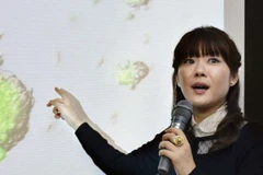 Không có bằng chứng cho sự tồn tại của tế bào gốc STAP