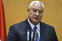 Tổng thống lâm thời Ai Cập Adly Mansour. (Nguồn: Madamasr.com)