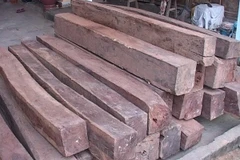 Tây Ninh xử lý vụ nhập lậu 215 khúc gỗ trắc từ Campuchia