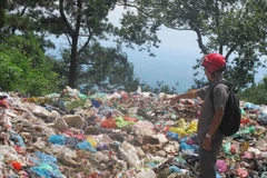 Ảnh minh họa. (Nguồn: TTXVN)