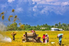 Cần Thơ đề xuất các lĩnh vực hợp tác với các nước trên thế giới