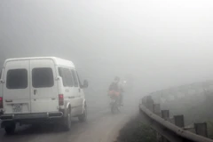 (Ảnh minh họa: Ngọc Hà/TTXVN)