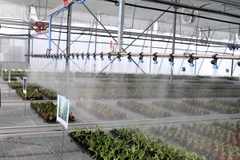 Khánh thành nhà kính, nhà lưới hiện đại nhất miền Nam