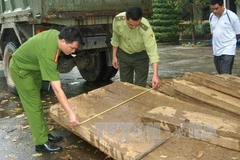 Ảnh minh họa. (Nguồn: TTXVN)