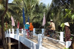 (Ảnh minh họa: Thế Anh/TTXVN)