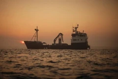 Ảnh minh họa. (Nguồn: Nydailynews.com)