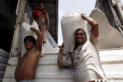 Sản lượng thóc gạo Thái Lan có thể xuống mức thấp nhất 5 năm