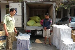 Đối tượng Hoàng Văn Bình cùng tang vật bị bắt giữ sáng 24/1. (Ảnh: Đậu Tất Thành/Vietnam+)