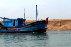 (Ảnh minh họa: Thế Lập/TTXVN)