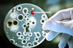 Ảnh minh họa. (Nguồn: theextinctionprotocol.wordpress.com)