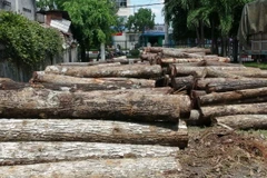 Ảnh chỉ có tính minh họa. (Ảnh: Thanh Tân/TTXVN)