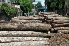 Ảnh chỉ có tính minh họa. (Ảnh: Thanh Tân/TTXVN)