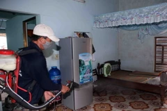 Phun thuốc diệt muỗi tại khu dân cư. (Ảnh: Trần Lê Lâm/TTXVN)