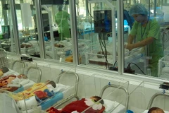 Ảnh chỉ có tính minh họa. (Ảnh: Dương Ngọc/TTXVN)