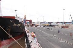 Một góc cảng biển PTSC Đình Vũ. (Ảnh: Tuấn Anh/TTXVN)