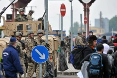 Người di cư chờ được qua biên giới ở Baranjsko Petrovo Selo, gần thị trấn Beli Manastir ở Croatia để vào Hungary. (Nguồn: AFP/TTXVN)