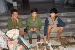 Phát hiện 3 vụ đặt bẫy thú hoang dã ở Vườn Quốc gia Phong Nha