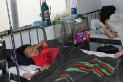 Ảnh chỉ có tính minh họa. (Ảnh: Đặng Tuấn/TTXVN)