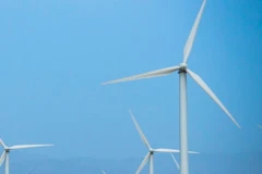 Ảnh minh họa. (Nguồn: THX/TTXVN)