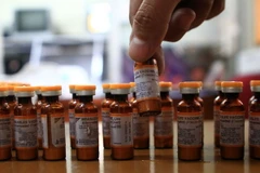 Số ca mắc sởi tại Mỹ cao nhất trong vòng 18 năm qua