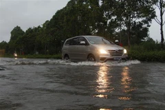 (Ảnh minh họa: Hồng Thái/TTXVN)