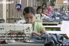 Việt Nam thu hút đầu tư nước ngoài để xây dựng tương lai bền vững