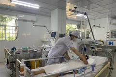 (Ảnh minh họa: Phan Sáu/TTXVN)