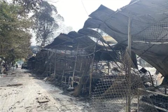 (Ảnh minh họa: Nguyễn Thảo/TXVN)