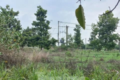 Hiện trường nơi phát hiện thi thể người. (Nguồn: Tiền Phong)