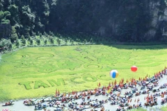 Bức tranh “Lý ngư vọng nguyệt” được tạo nên bằng những cây lúa là điểm nhấn của Tuần lễ du lịch. (Ảnh: Đức Phương/TTXVN)