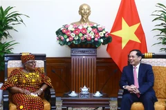 Bộ trưởng Ngoại giao Bùi Thanh Sơn tiếp Tổng Giám đốc Tổ chức Thương mại thế giới (WTO) Ngozi Okonjo-Iweala. (Ảnh: Lâm Khánh/TTXVN)
