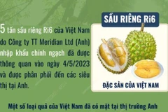 [Infographics] Sầu riêng của Việt Nam đã có mặt tại thị trường Anh