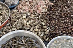 Đa dạng các loại thủy sản được bày bán tại Chợ Nại (thị trấn Khánh Hải, huyện Ninh Hải). (Ảnh: Công Thử/TTXVN)