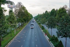 Bộ Công an mở rộng điều tra hệ sinh thái của Công ty Cây xanh Công Minh