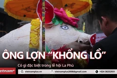 [Video] Dân làng La Phù bật mí bí quyết chăm sóc "ông lợn" khổng lồ