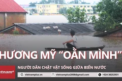Người dân Chương Mỹ "oằn mình" giữa biển nước trong trận lụt thứ hai liên tiếp