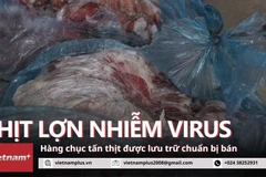 Phát hiện kho chứa hàng chục tấn thịt nhiễm virus dịch tả lợn châu Phi ở Hà Nội