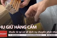 Phát hiện cơ sở chuyển phát nhanh có dấu hiệu tàng trữ, vận chuyển hàng cấm