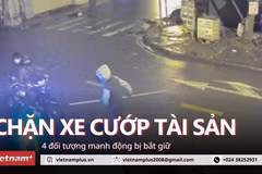 Hà Nội: Bắt nhóm thanh niên cầm phóng lợn chặn xe, cướp tài sản 