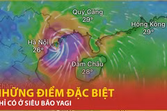 Bản tin 60s: Những điểm đặc biệt hiếm, chỉ có ở siêu bão Yagi