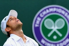 Roddick ngửa mặt than trời (Nguồn: Getty)